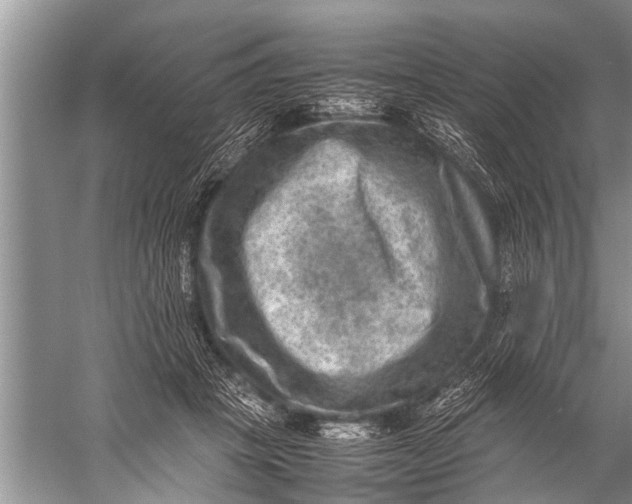 X0000057080457200510010204