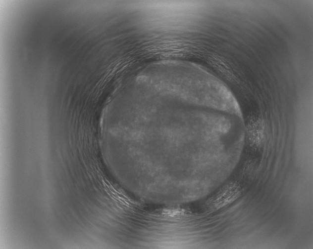 X0000057080458200510010204