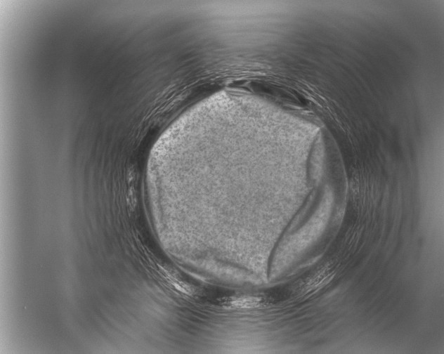 X0000057080462200510010204