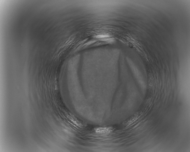 X0000057080465200510010204