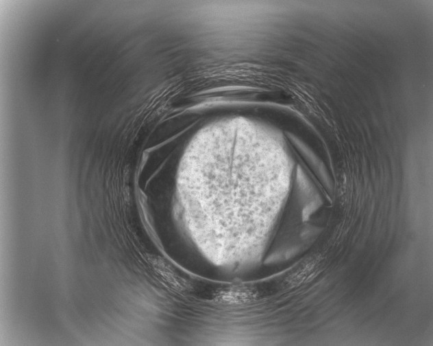 X0000057080466200510010204