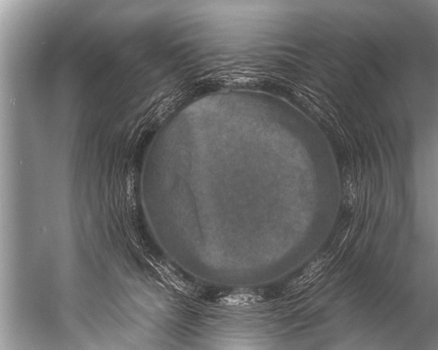 X0000057080468200510010204