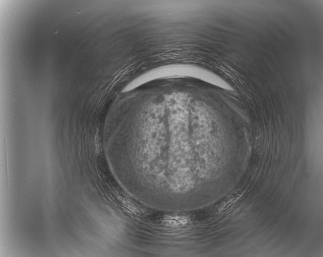 X0000057080469200510010204