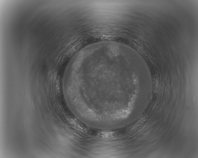 X0000057080472200510010204