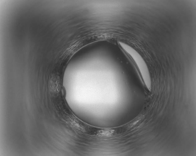 X0000057080474200510010204