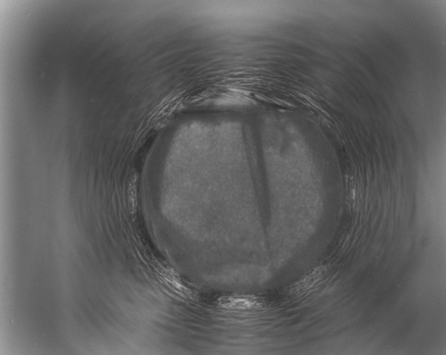 X0000057080475200510010204