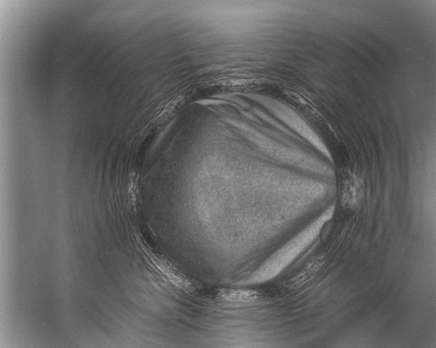 X0000057080476200510010204