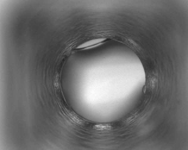 X0000057080477200510010204