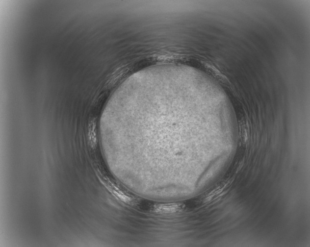 X0000057080479200510010204