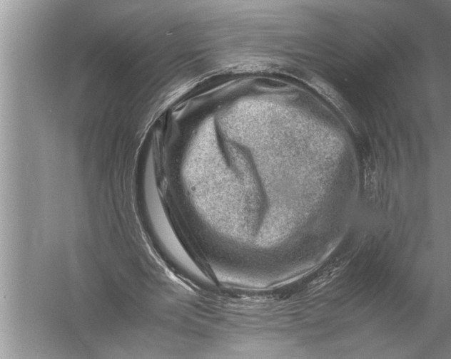 X0000057080485200510010203