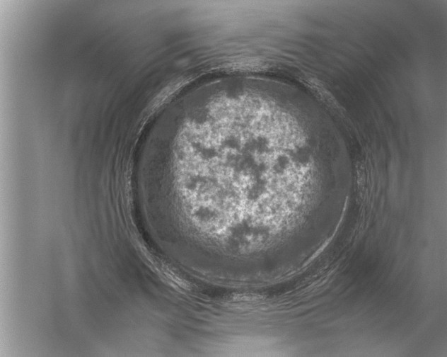 X0000057080487200510010203