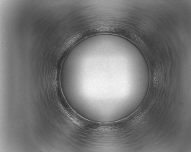 X0000057080490200510010203