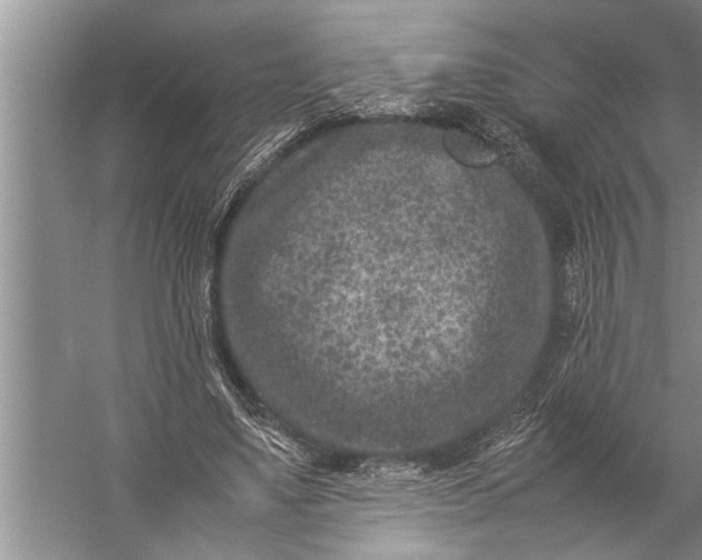 X0000057080491200510010203