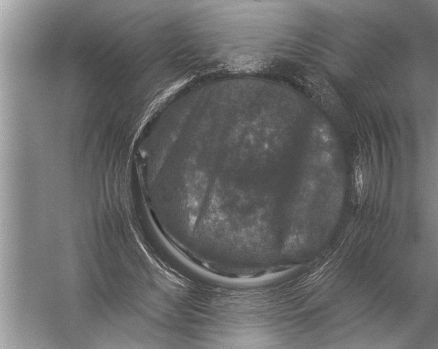 X0000057080492200510010203