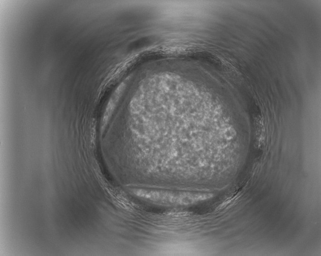 X0000057080495200510010203