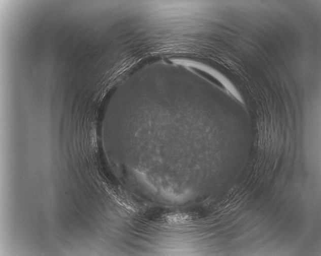 X0000057080500200510010203