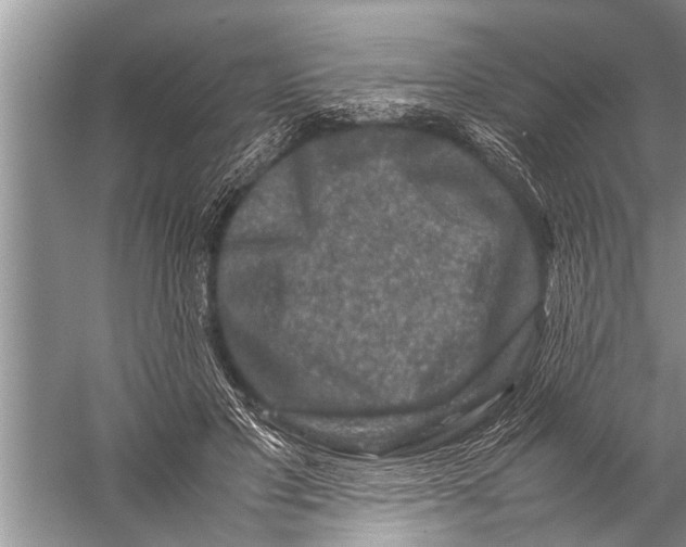 X0000057080501200510010203