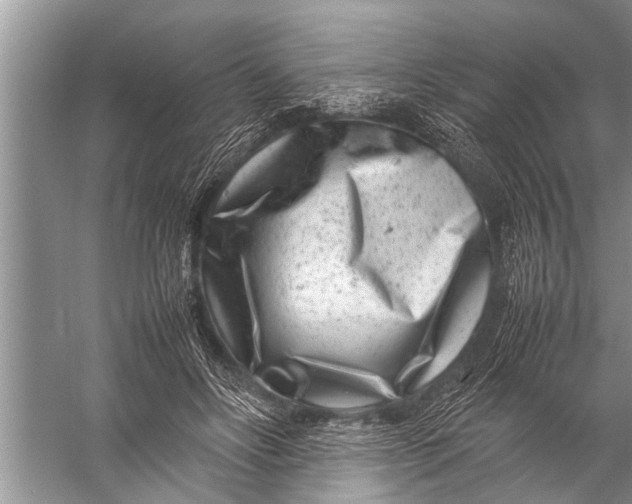 X0000057080502200510010203