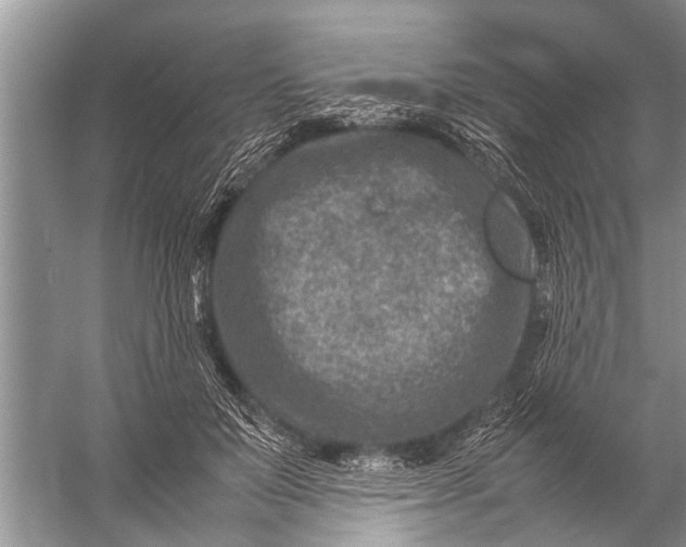 X0000057080503200510010203