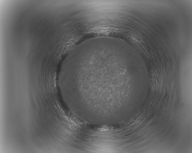 X0000057080504200510010203