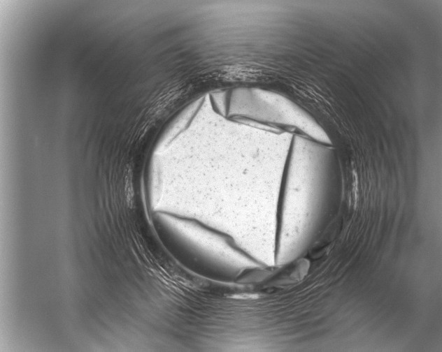 X0000057080508200510010203