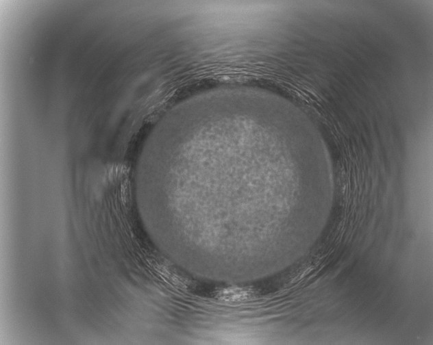 X0000057080511200510010203