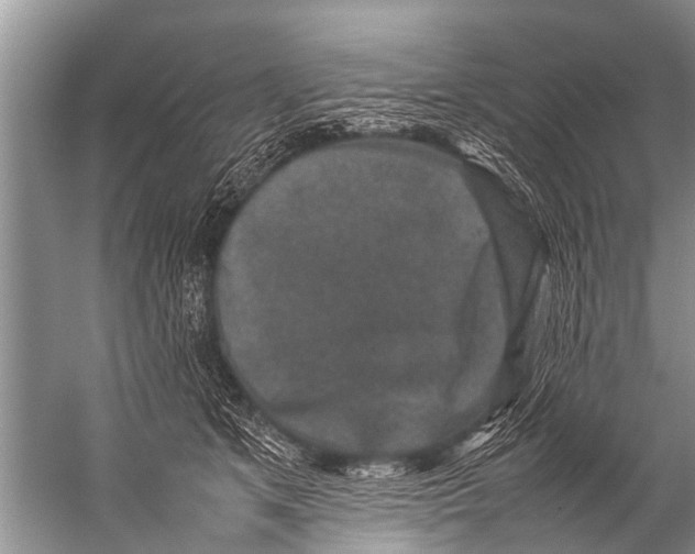 X0000057080513200510010203