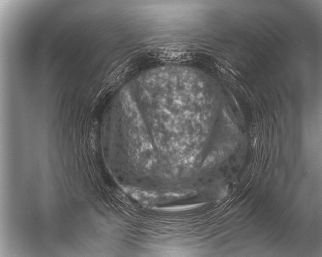 X0000057080515200510010203