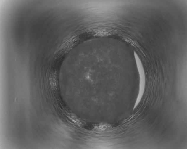 X0000057080517200510010203