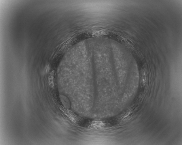 X0000057080519200510010203