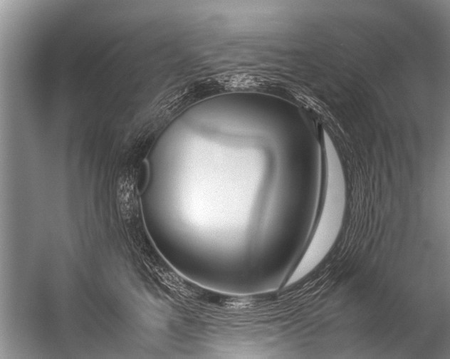 X0000057080521200510010203