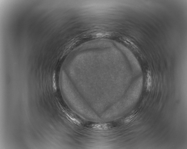 X0000057080524200510010203