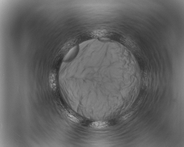 X0000057080526200510010203