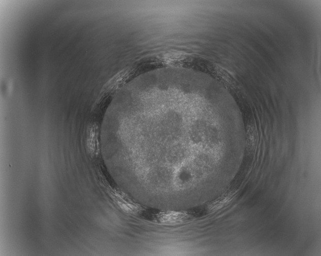 X0000057080527200510010203