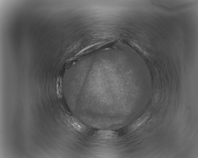 X0000057080528200510010203