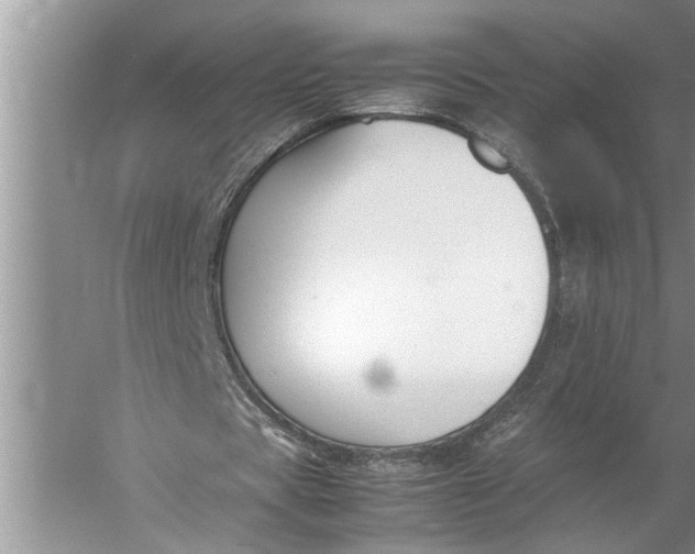 X0000057080529200510010202