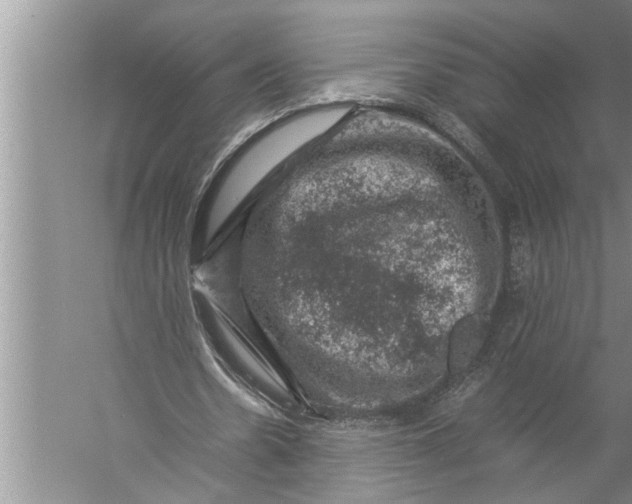 X0000057080530200510010202