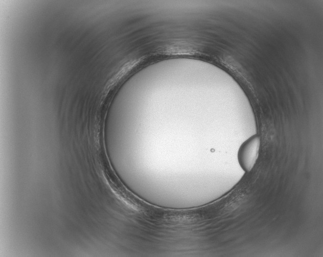 X0000057080533200510010202