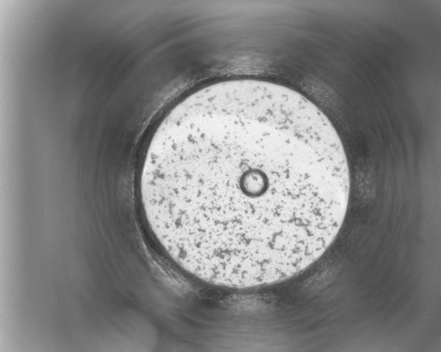 X0000057080534200510010202