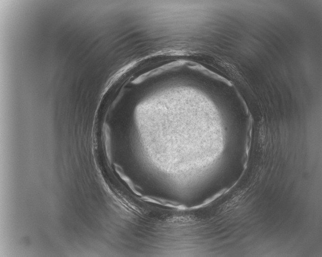 X0000057080536200510010202