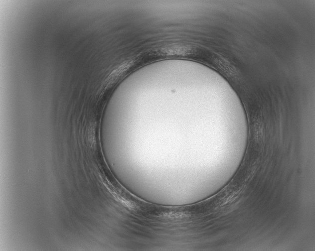 X0000057080537200510010202