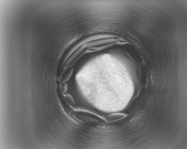 X0000057080538200510010202