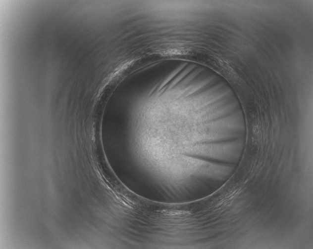 X0000057080539200510010202