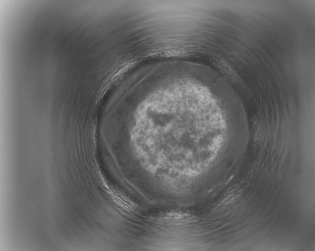 X0000057080542200510010202