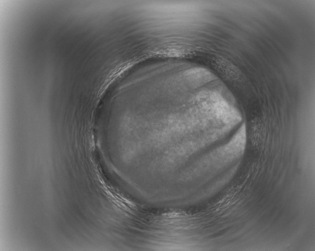 X0000057080544200510010202