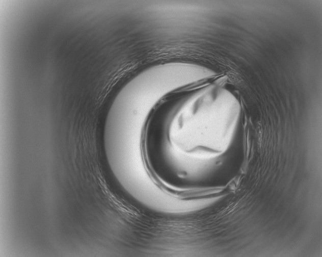 X0000057080546200510010202