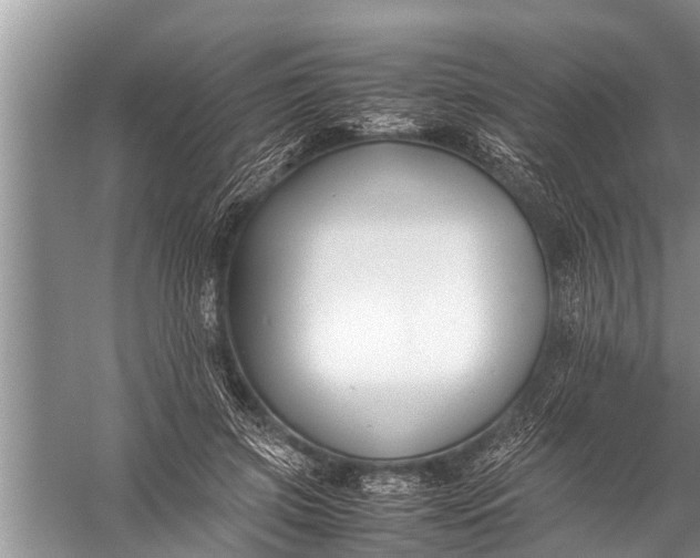 X0000057080549200510010202