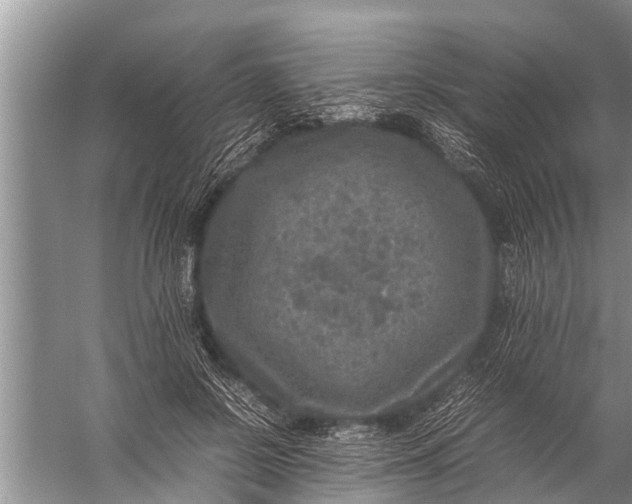 X0000057080550200510010202