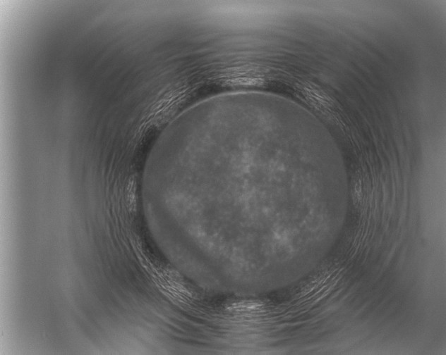 X0000057080551200510010202