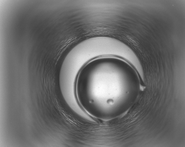 X0000057080552200510010202